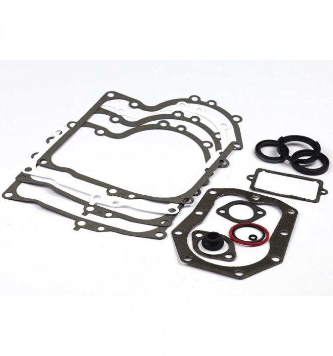 Gasket Kit 494241 in the group  at Entreprenadbutiken (494241)