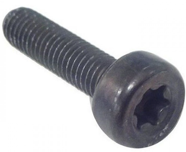 Screw Torx D10, M5X20 5032153-20 in the group  at Entreprenadbutiken (5032153-20)