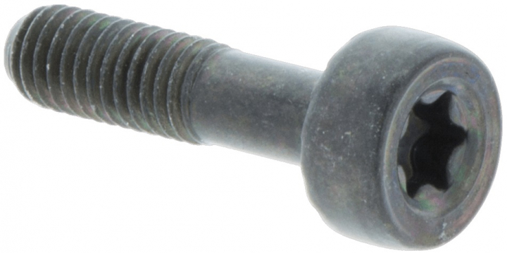 Screw Torx D10, M5X20 5032153-21 in the group  at Entreprenadbutiken (5032153-21)