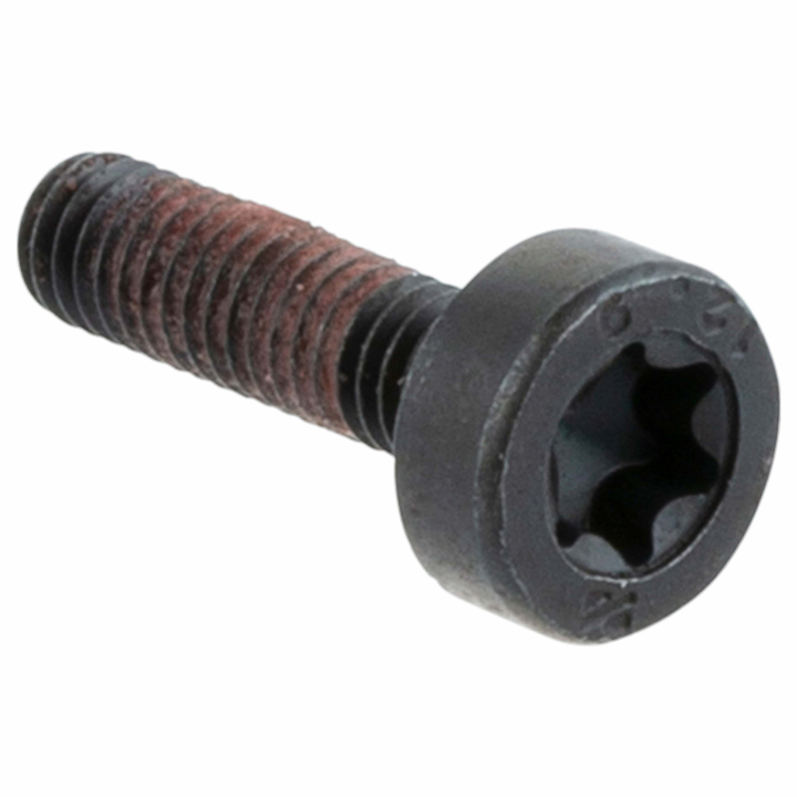 Screw 5268181-02 in the group  at Entreprenadbutiken (5268181-02)