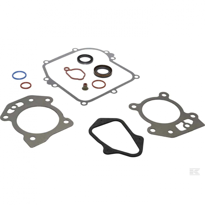 Gasket Kit B&S 595350 in the group B&S 08P502-0022-H1 at Entreprenadbutiken (5822886-23)