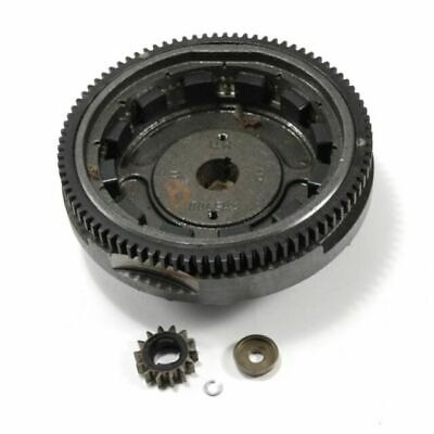 Flywheel in the group  at Entreprenadbutiken (591759)