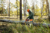 Husqvarna 435i incl. BLi30 & QC250 Husqvarna 435i incl. BLi30 & QC250